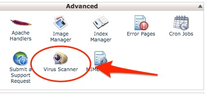 virus-scanner